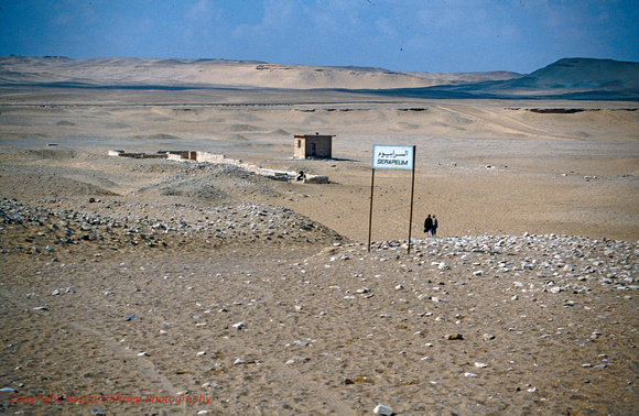 Egypt89_EG2_37 SAQQ31