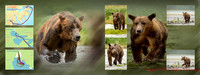 Alaska Page 4 - 5
