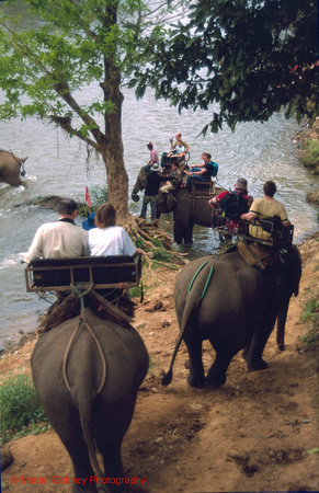 THAI MHS 023