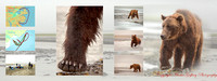 Alaska Page 30 - 31