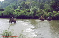 THAI MHS 015