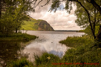 _G3A9924-HDR-2