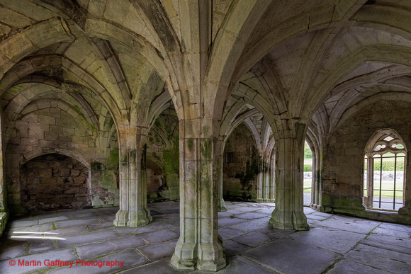 _V1A2461-HDR