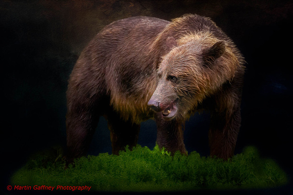 _23A2349 Edit Painterly ZSE6 PE2